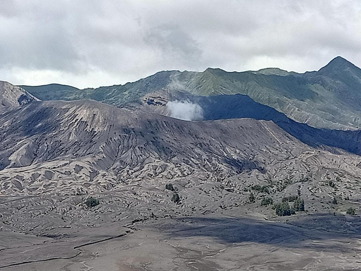 Istana Bromo Resort Exterior foto
