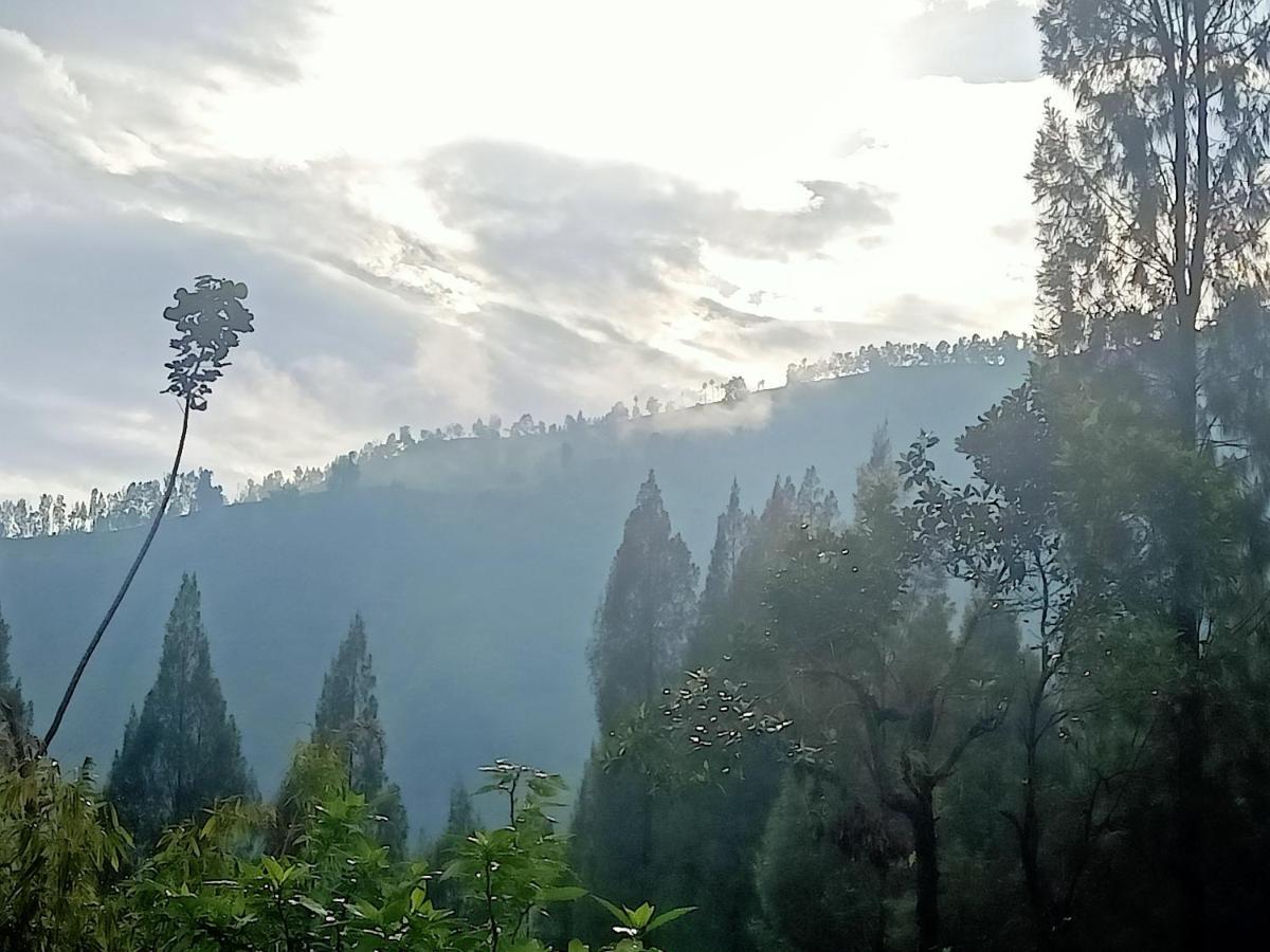 Istana Bromo Resort Exterior foto